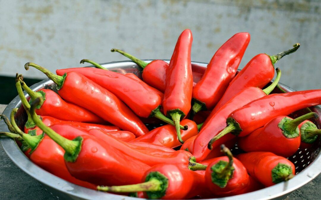 Comida picante típica de México